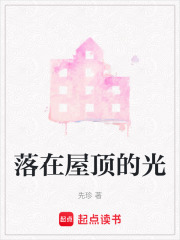 落在屋顶的光在线阅读
