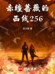 赤瞳蔷薇的西线256