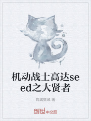 机动战士高达seed之大贤者