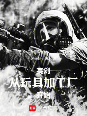 亮剑：从玩具加工厂开始在线阅读