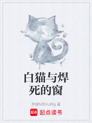 白猫与焊死的窗