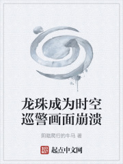 龙珠成为时空巡警画面崩溃在线阅读
