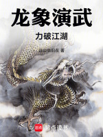 龙象演武，力破江湖封面