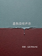悲伤没有声音在线阅读