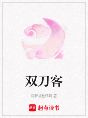 双刀客在线阅读