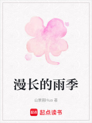 漫长的雨季在线阅读