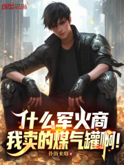 什么军火商，我卖的煤气罐啊！