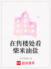 在售楼处看柴米油盐在线阅读