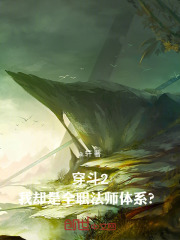 穿斗2，我却是全职法师体系？