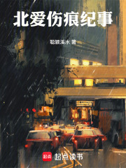 北爱伤痕纪事在线阅读
