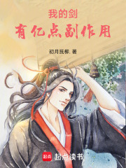 我的剑，有亿点副作用