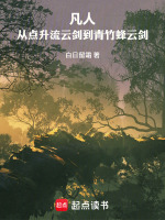 凡人：从点升流云剑到青竹蜂云剑封面