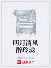 明月清风醉玲珑在线阅读