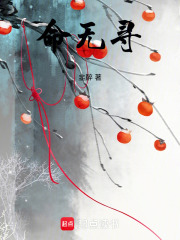 命无寻在线阅读