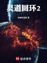 灵道回环2在线阅读