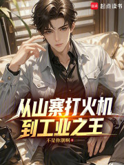 从山寨打火机，到工业之王在线阅读