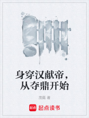 身穿汉献帝，从夺鼎开始在线阅读