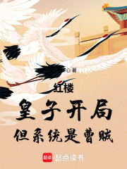 红楼：开局皇子，但系统不太正经