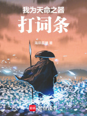 我为天命之器打词条