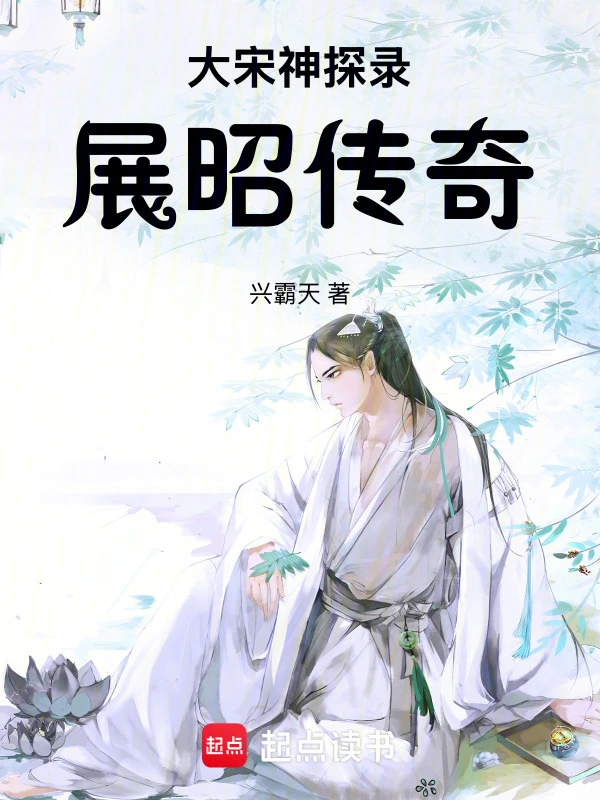 大宋神探录：展昭传奇