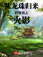 从龙珠归来的我当上火影封面