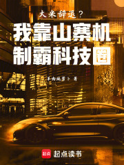 大米辞退？我靠山寨机制霸科技圈在线阅读