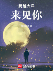 跨越大洋来见你