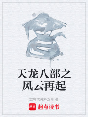 天龙八部之风云再起在线阅读
