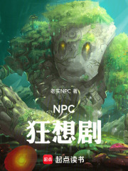 NPC狂想剧