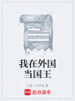 我在外国当国王最新章节在线阅读