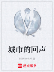 城市的回声在线阅读