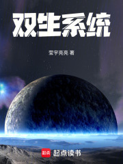 双生系统