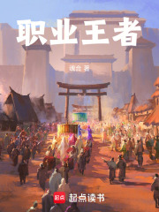 职业王者