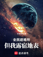 全民避难所，但我露宿地表