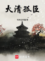大清孤臣封面