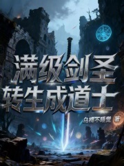 满级剑圣转生成道士