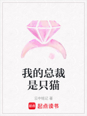 我的总裁是只猫在线阅读