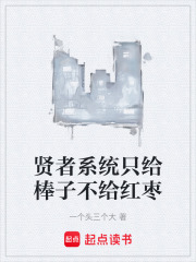 贤者系统只给棒子不给红枣在线阅读