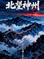 北望神州封面