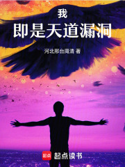 我，即是天道漏洞在线阅读
