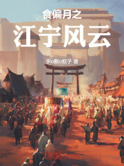 食偏月之江宁风云