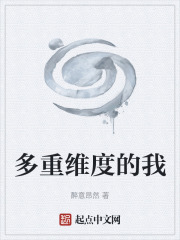 多重维度的我