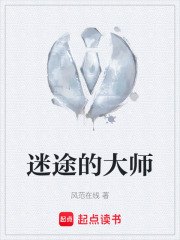 迷途的大师在线阅读
