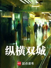 纵横双城在线阅读