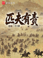 匹夫有责封面