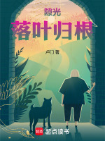 隙光：落叶归根最新章节在线阅读