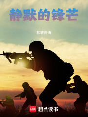 静默的锋芒在线阅读
