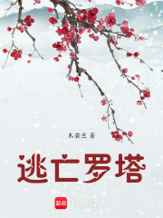 逃亡罗塔在线阅读