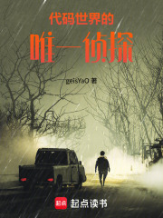 代码世界的唯一侦探