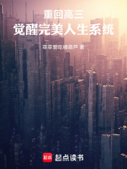 完美人生系统
